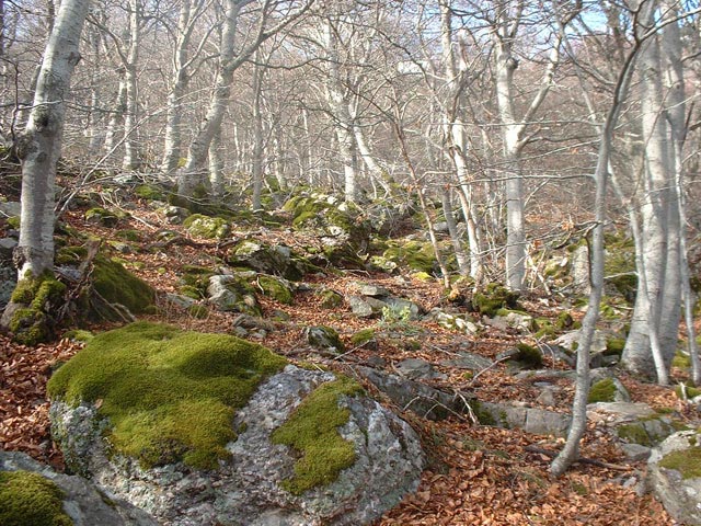 Turismo Rural El Rincn del Moncayo