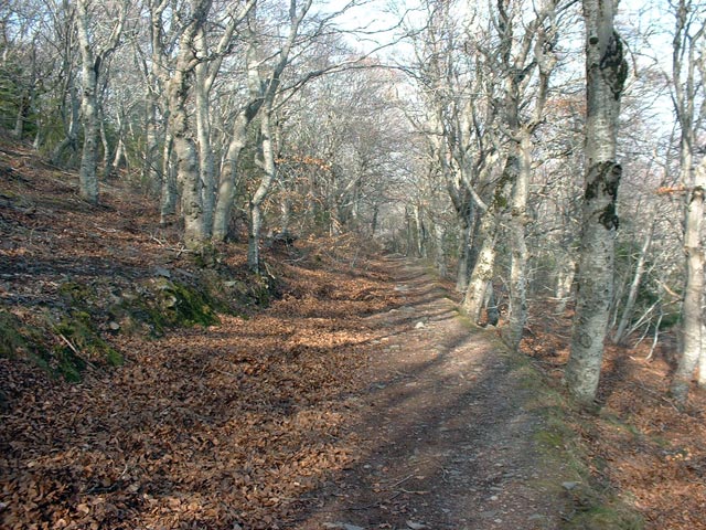 Turismo Rural El Rincn del Moncayo